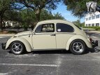 Thumbnail Photo 4 for 1966 Volkswagen Beetle